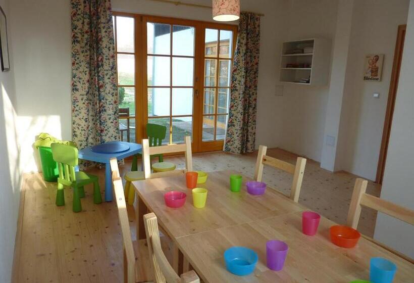 膳宿费 Bořetínský Statek