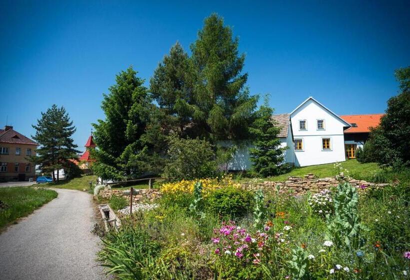 膳宿费 Bořetínský Statek