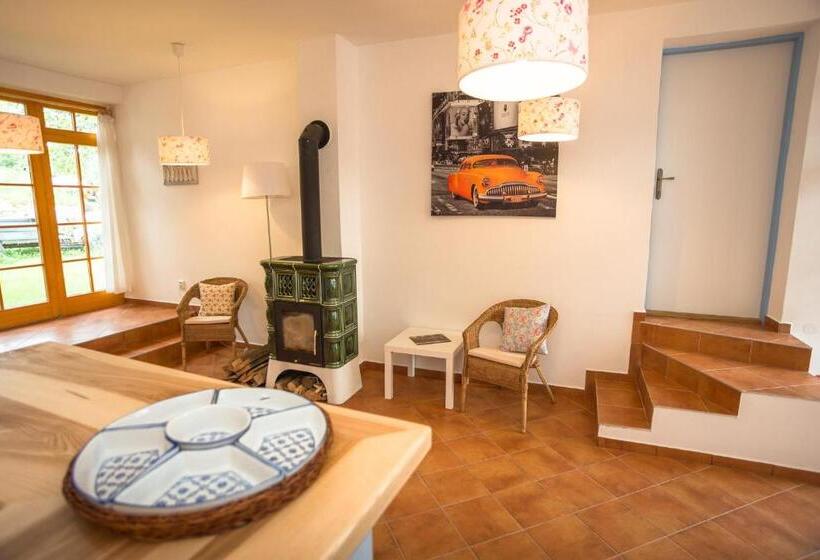 膳宿费 Bořetínský Statek