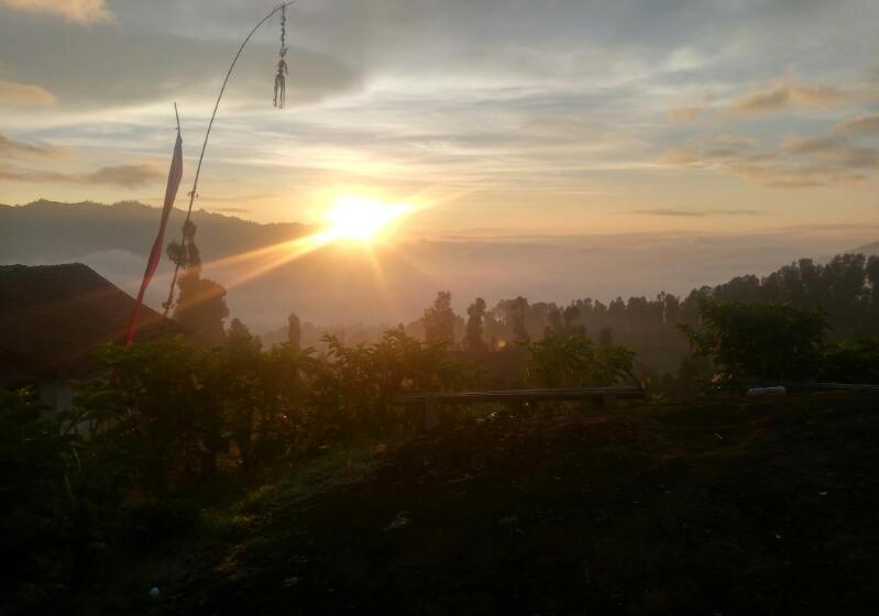 بنسيون Bromo Otix Guest House