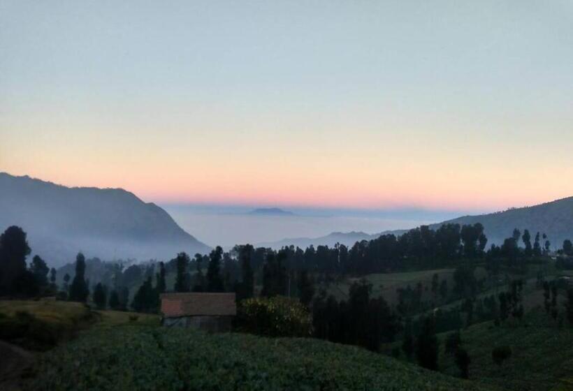 بنسيون Bromo Otix Guest House