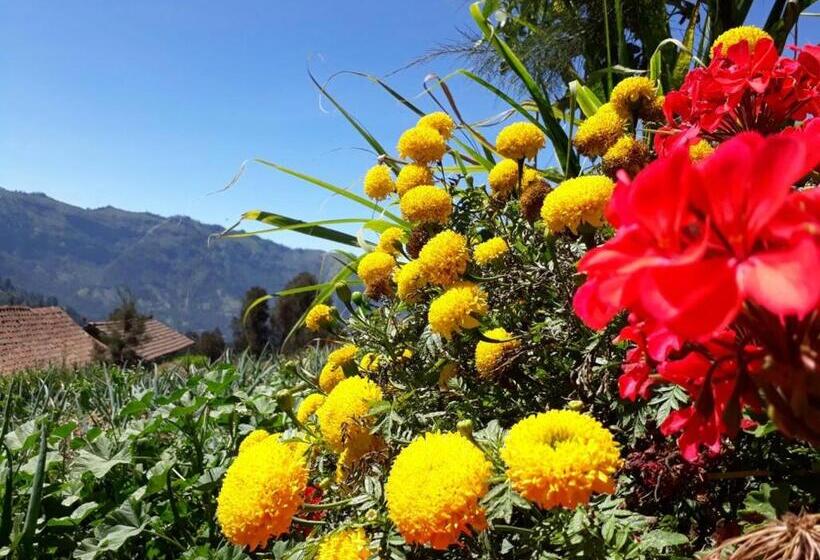 بنسيون Bromo Otix Guest House