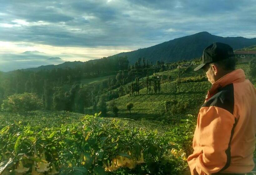 بنسيون Bromo Otix Guest House