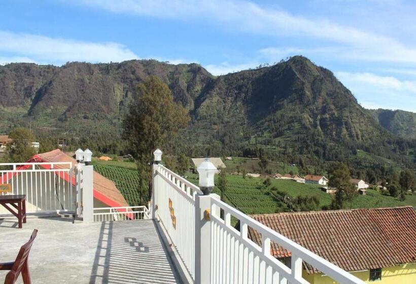 بنسيون Bromo Otix Guest House