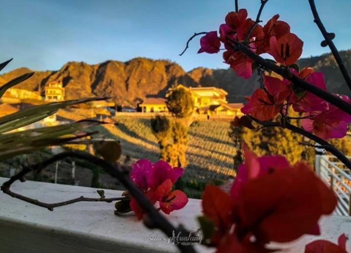 بنسيون Bromo Otix Guest House