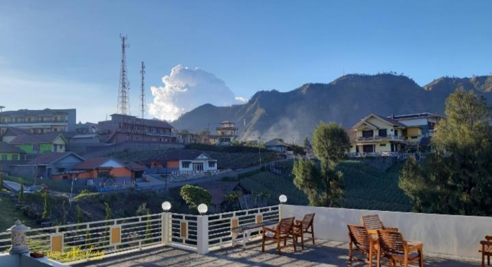 بنسيون Bromo Otix Guest House