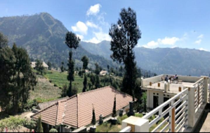 بنسيون Bromo Otix Guest House