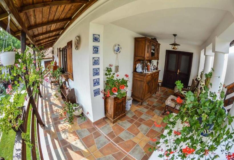 Пансион Casa Veche