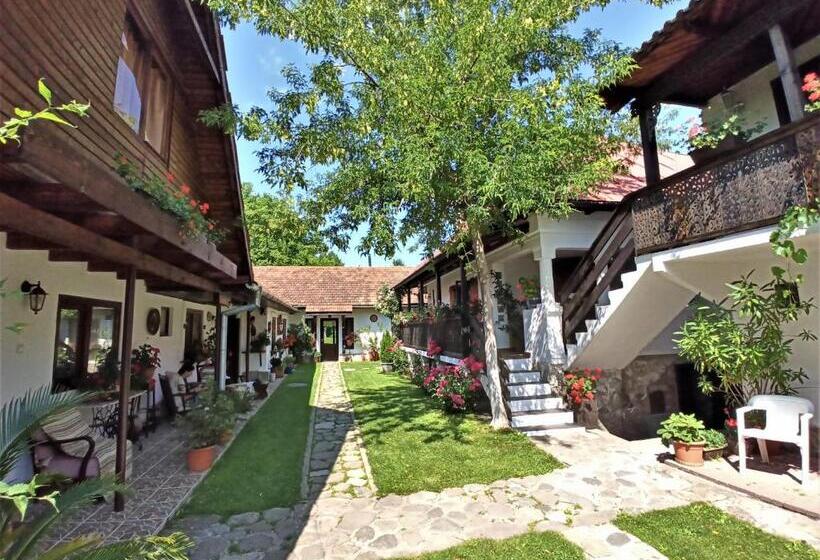 Пансион Casa Veche