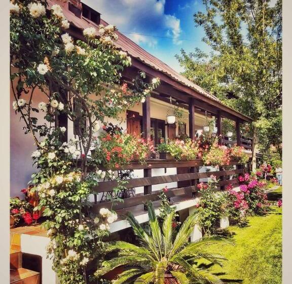 Пансион Casa Veche