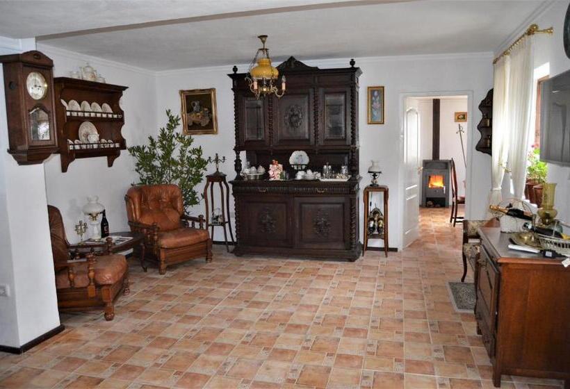 Пансион Casa Veche