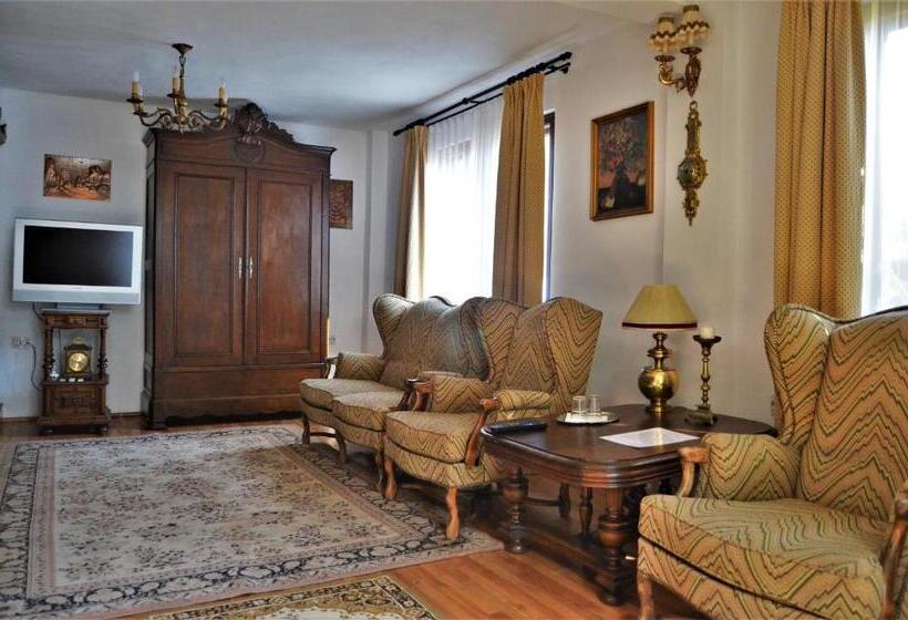 Пансион Casa Veche