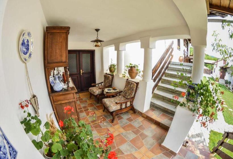 Пансион Casa Veche