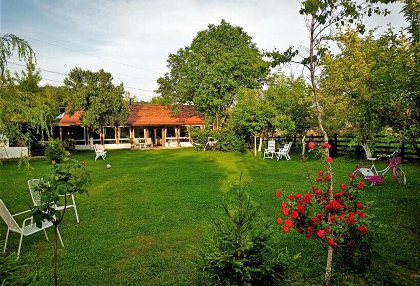 Пансион Casa Veche