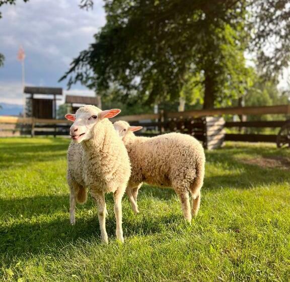 펜션 Dom Frana Krala