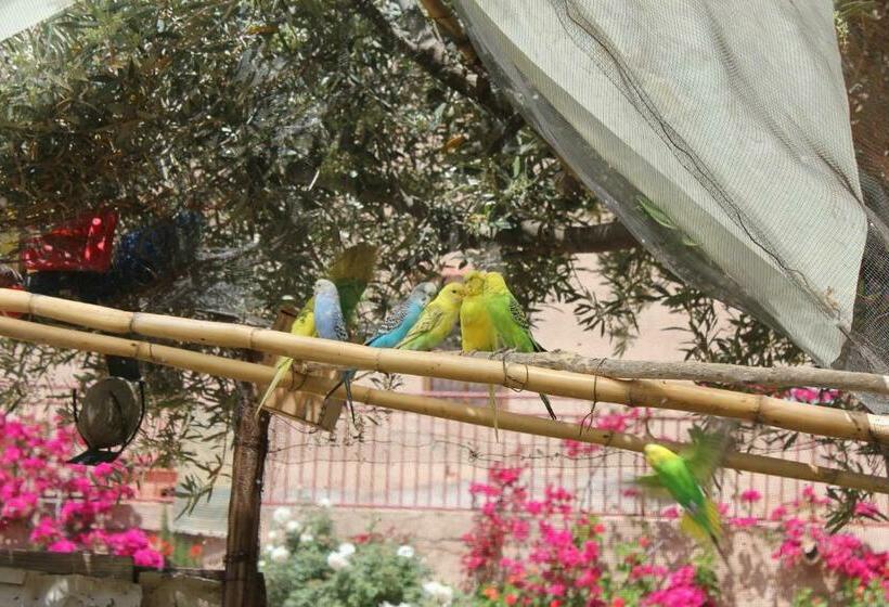 פנסיון Escale Rando Taliouine