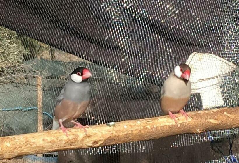 פנסיון Escale Rando Taliouine