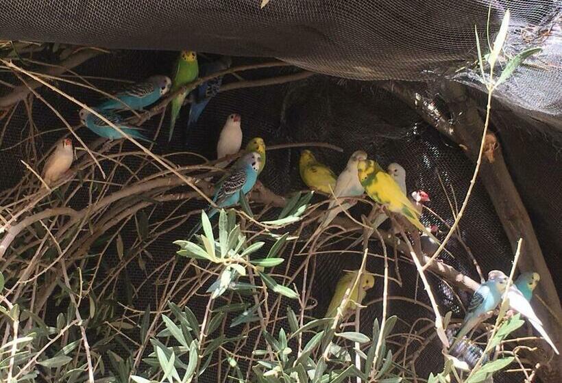 פנסיון Escale Rando Taliouine