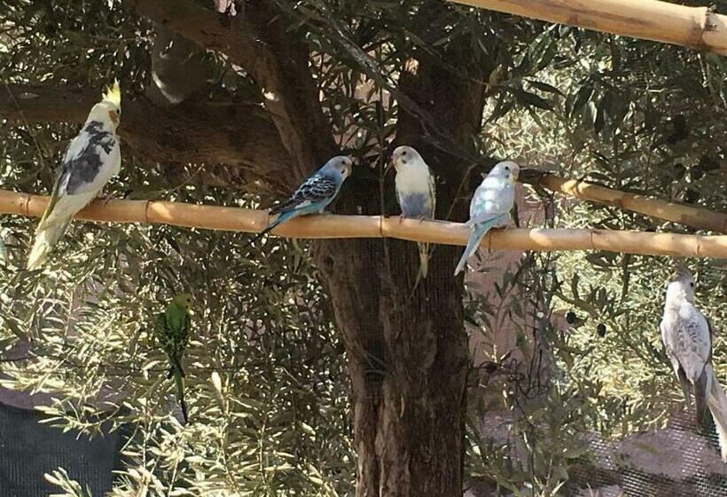 פנסיון Escale Rando Taliouine