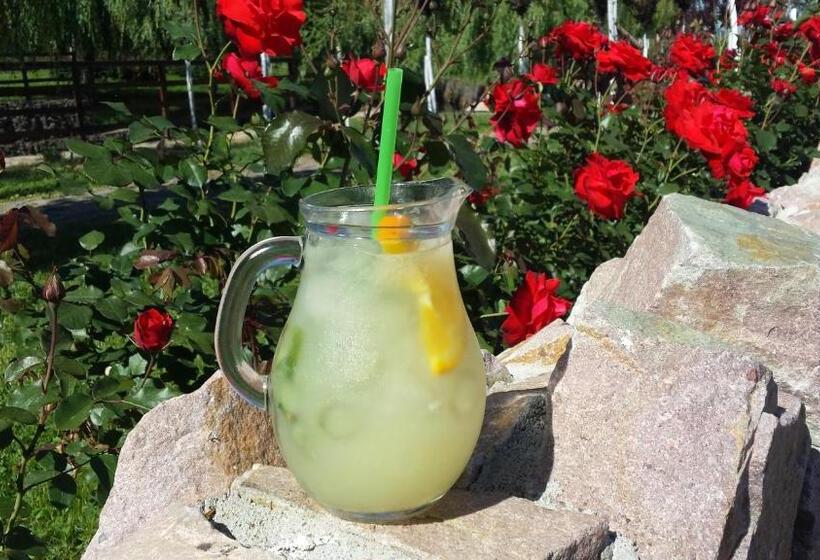 ペンション Hanul Moara Cu Noroc