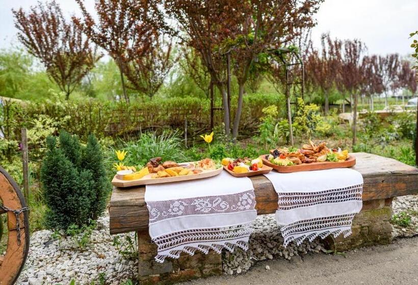 ペンション Hanul Moara Cu Noroc