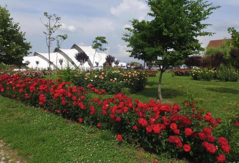 膳宿费 Hanul Moara Cu Noroc