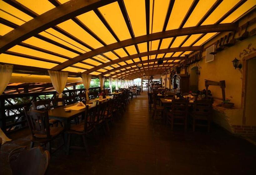 ペンション Hanul Moara Cu Noroc