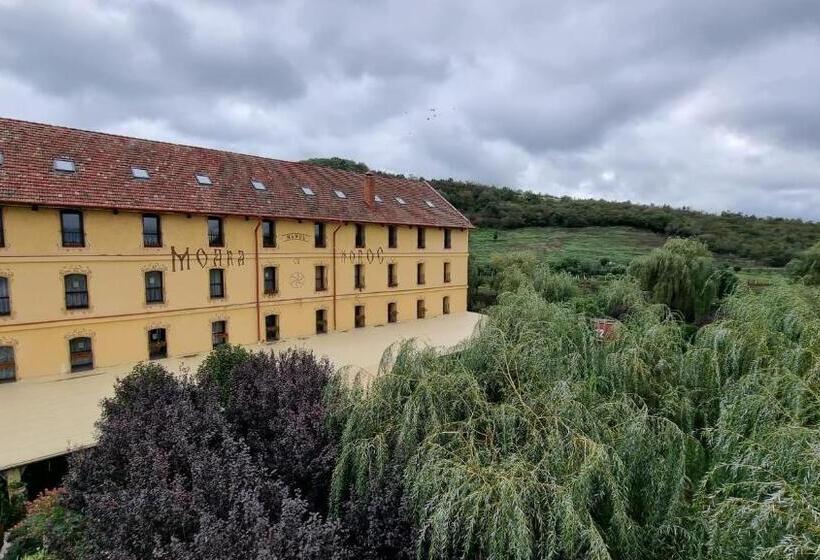 ペンション Hanul Moara Cu Noroc