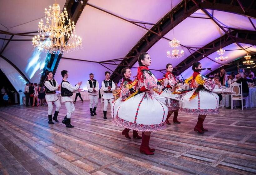 ペンション Hanul Moara Cu Noroc