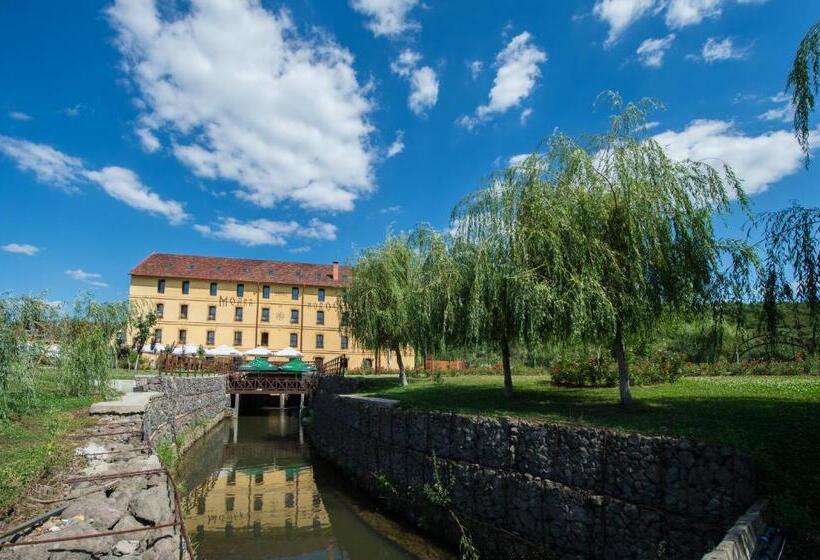 ペンション Hanul Moara Cu Noroc