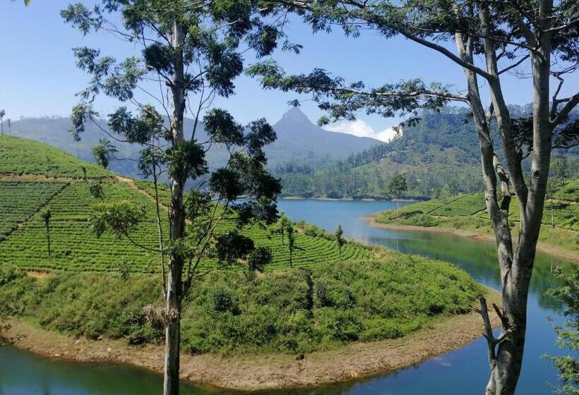 Пансион Hugging Clouds