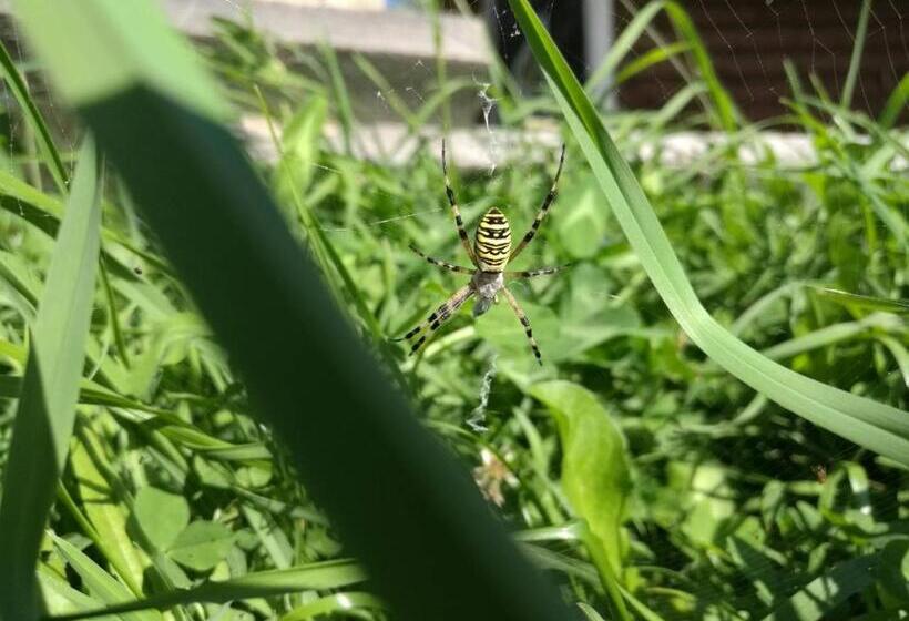 Пансион Kam In