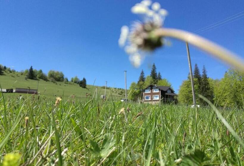 Пансион Kam In