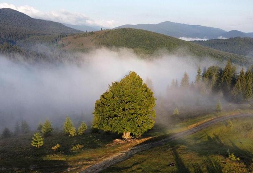 Пансион Kam In