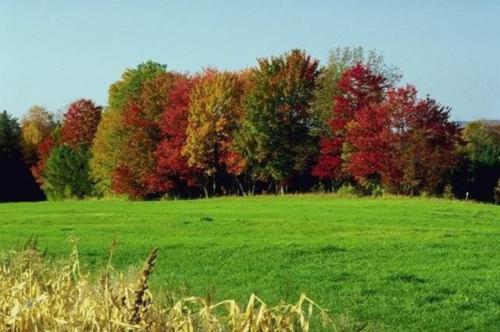 膳宿费 Landhotel Adler