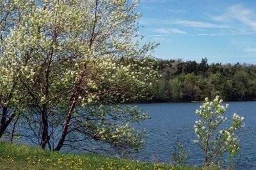 ペンション Landhotel Adler