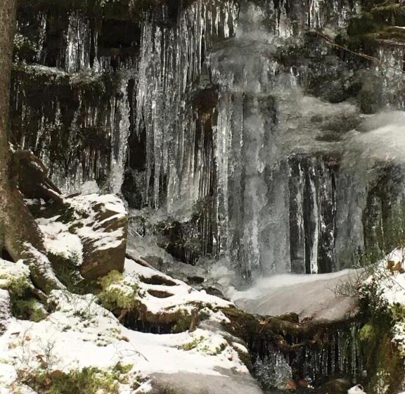 ペンション Landhaus Erna