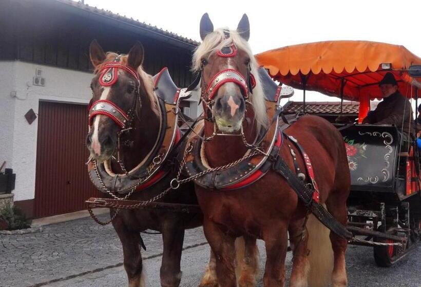 ペンション Landhaus Erna