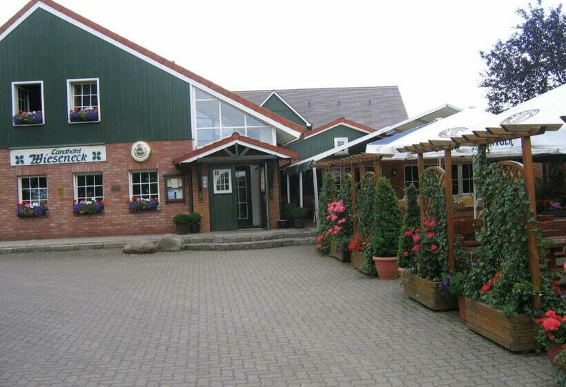 펜션 Landhotel Wieseneck