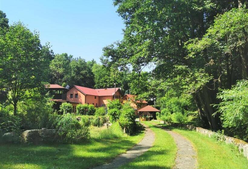 Пансион Penzion Liškův Mlýn