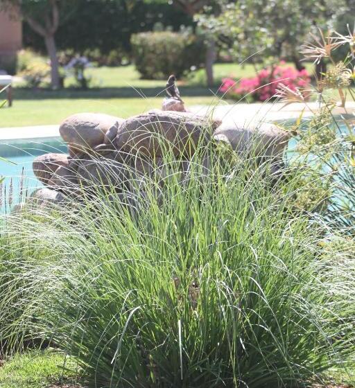 بنسيون Oasis Jena Marrakech