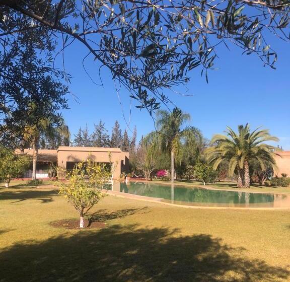 بنسيون Oasis Jena Marrakech