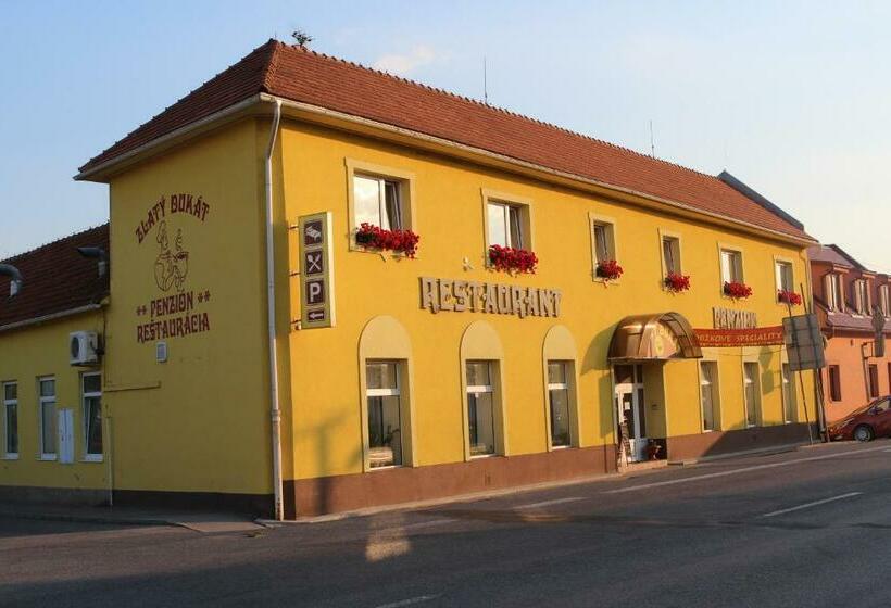 פנסיון Penzión Zlatý Dukát