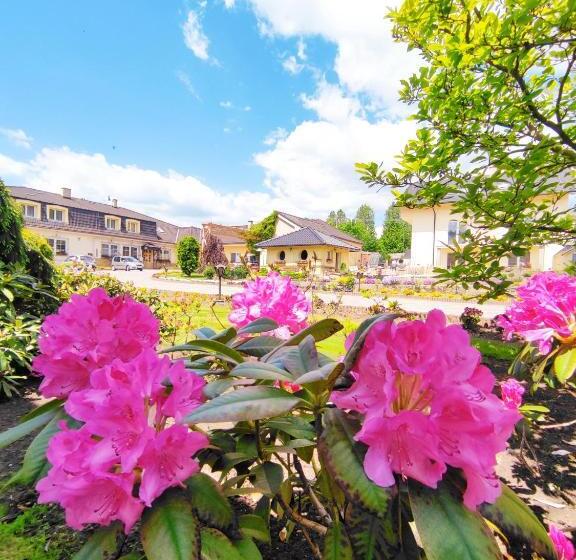 ペンション Penzion Lucs