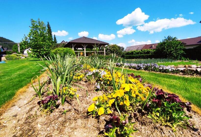 ペンション Penzion Lucs