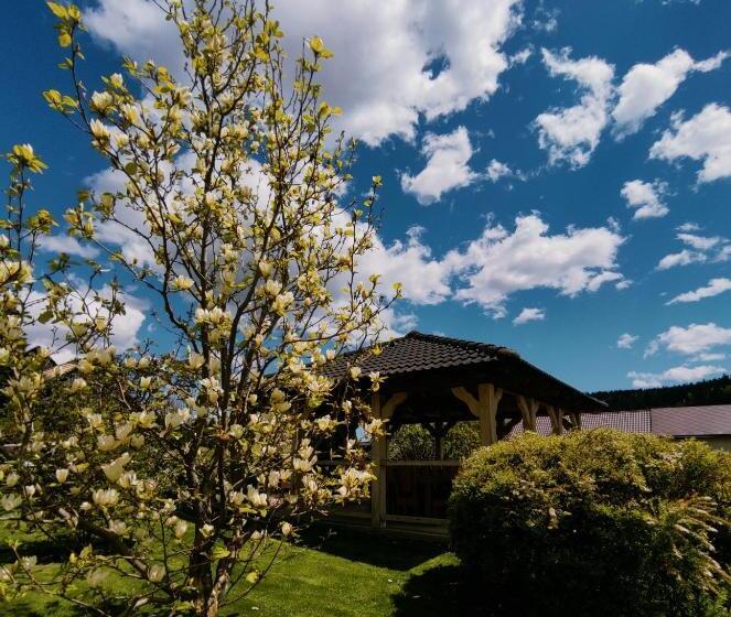 ペンション Penzion Lucs