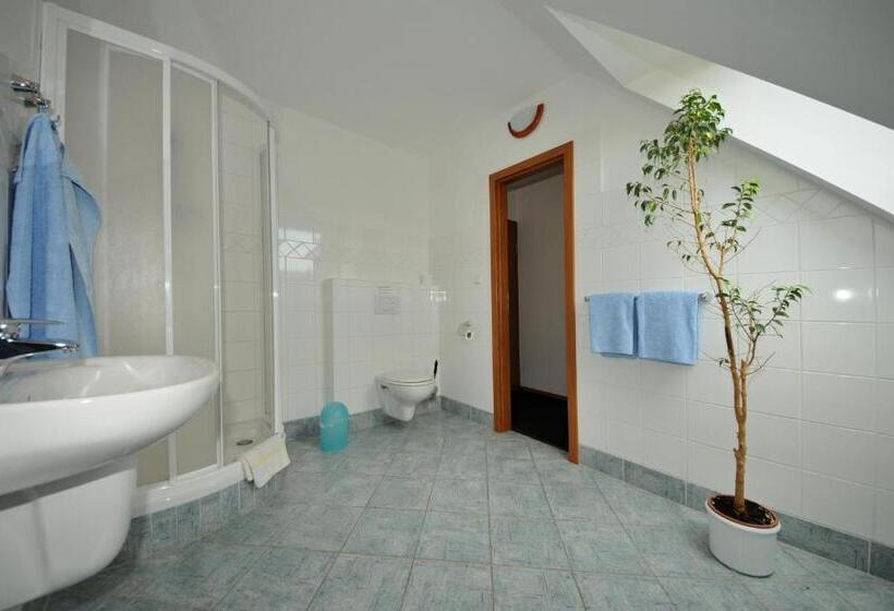 Пансион Penzion Praktik Krumlov