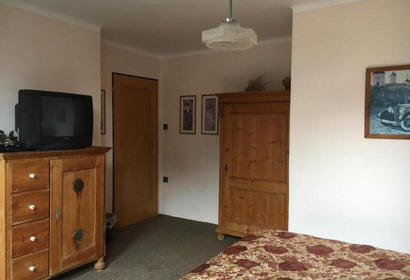 膳宿费 Penzion Prezident