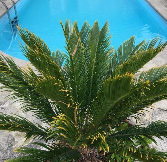 膳宿费 Penzion Prezident