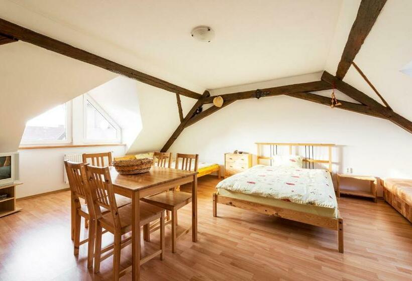 펜션 Penzion U Zámeckého Parku